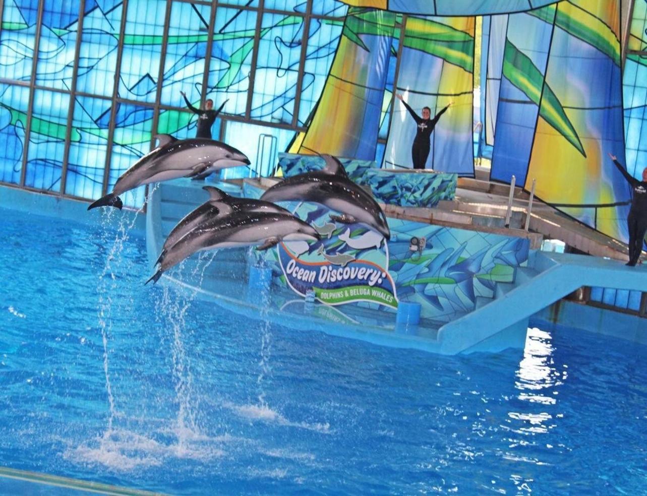 Gameroom, Bbq & Hot-Tub By Lackland & Seaworld San Antonio Exterior foto